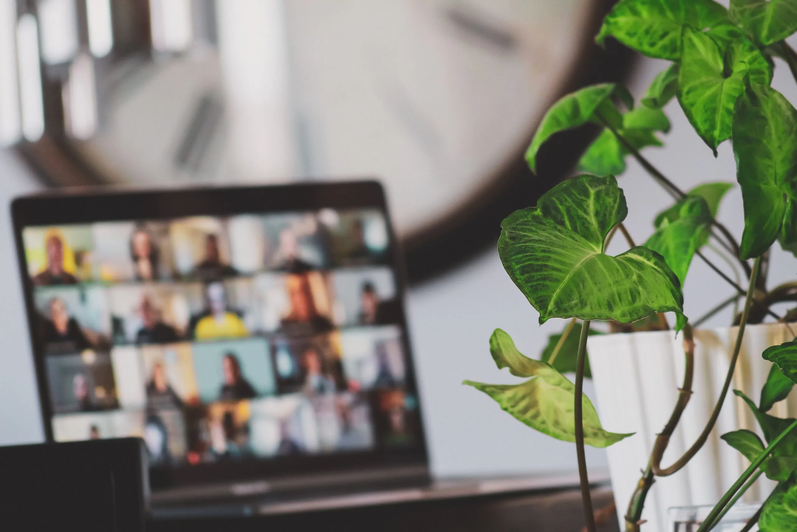 cohort-based online course