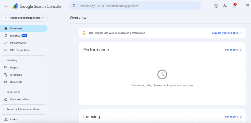Google Search Console Setup Screenshot 11